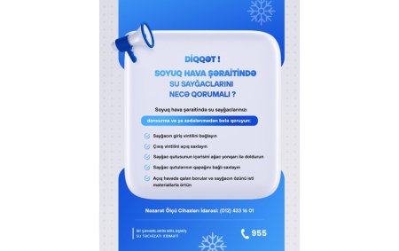 Su sayğaclarını şaxtadan necə qoruyaq?