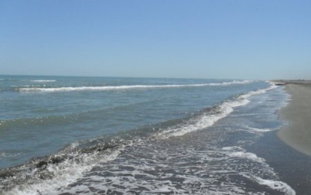 Xəzər dənizi ilə bağlı interaktiv xəritə-sxemi hazırlanacaq