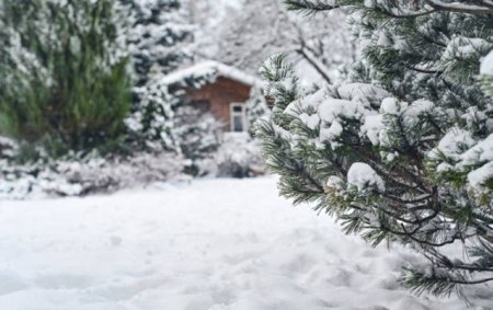 Qaxla Şahdağa qar yağır